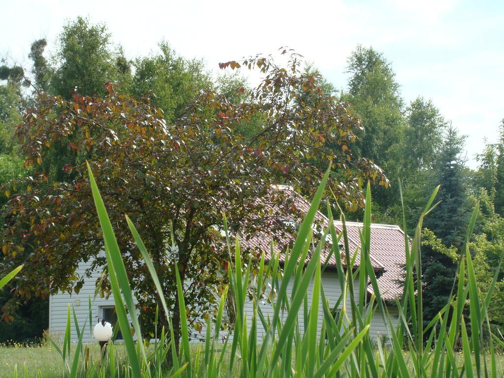 Bobrowa Dolina Bed & Breakfast Ryn  Room photo