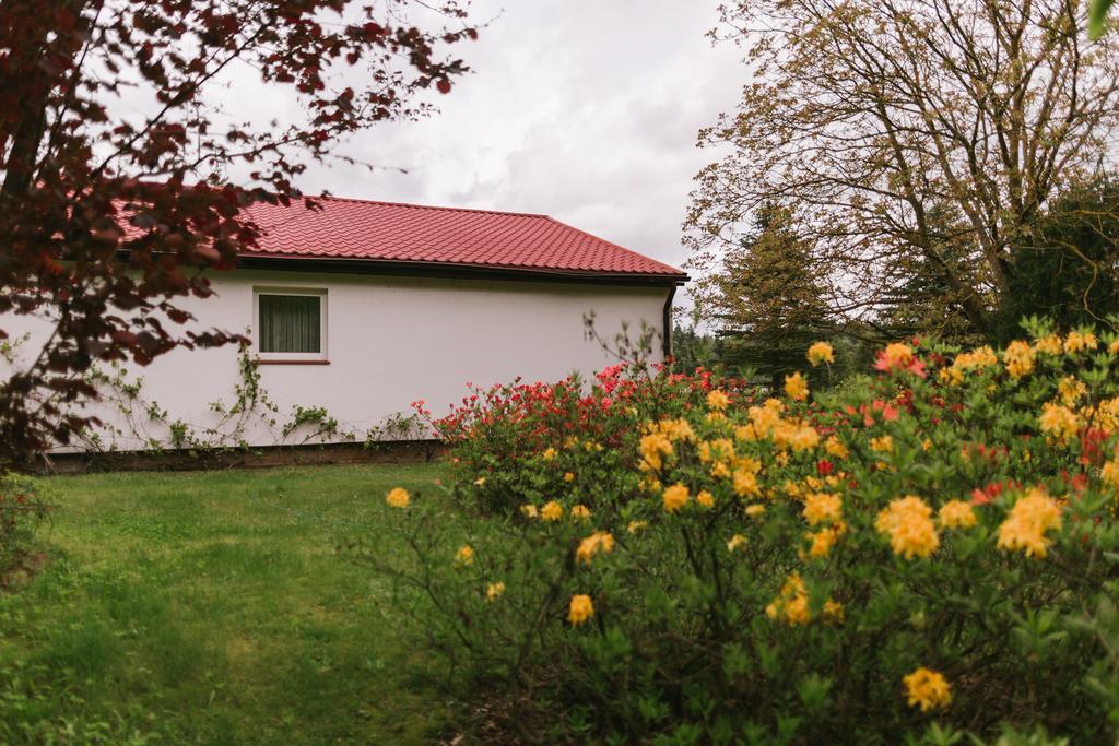 Bobrowa Dolina Bed & Breakfast Ryn  Exterior photo
